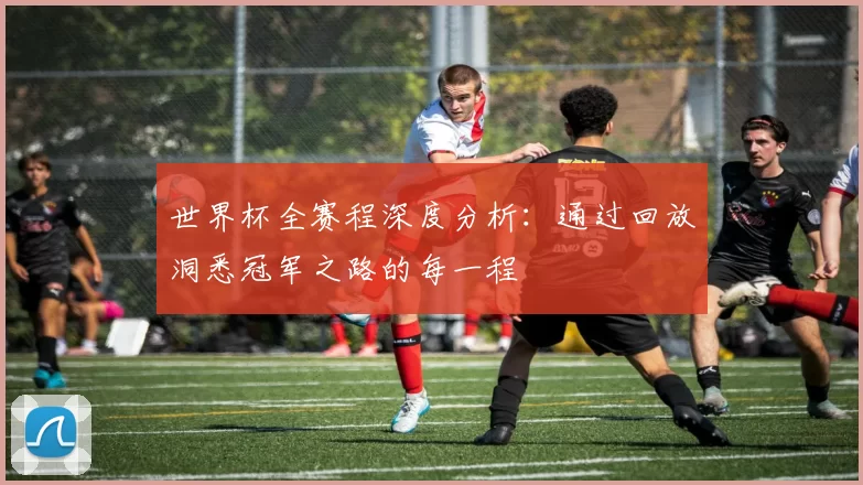 世界杯全赛程深度分析：通过回放洞悉冠军之路的每一程
