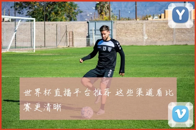 世界杯直播平台推荐 这些渠道看比赛更清晰
