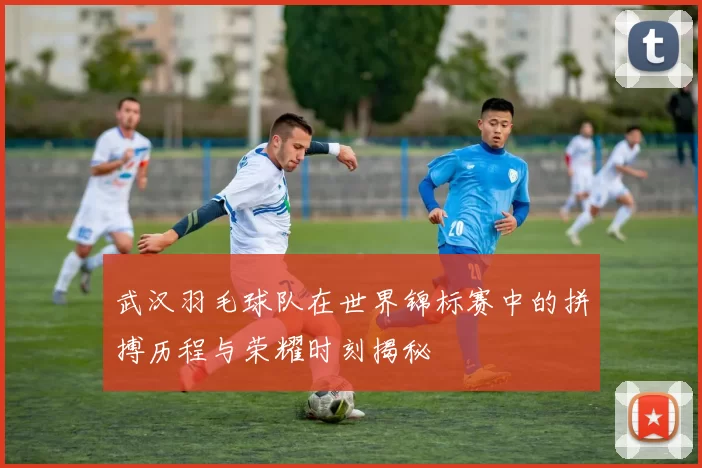 武汉羽毛球队在世界锦标赛中的拼搏历程与荣耀时刻揭秘