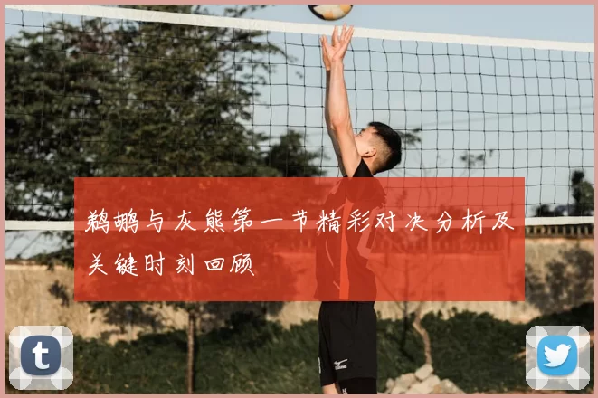 鹈鹕与灰熊第一节精彩对决分析及关键时刻回顾