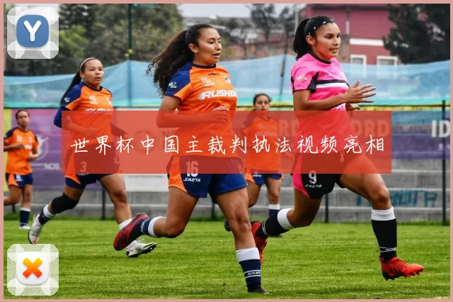 世界杯中国主裁判执法视频亮相