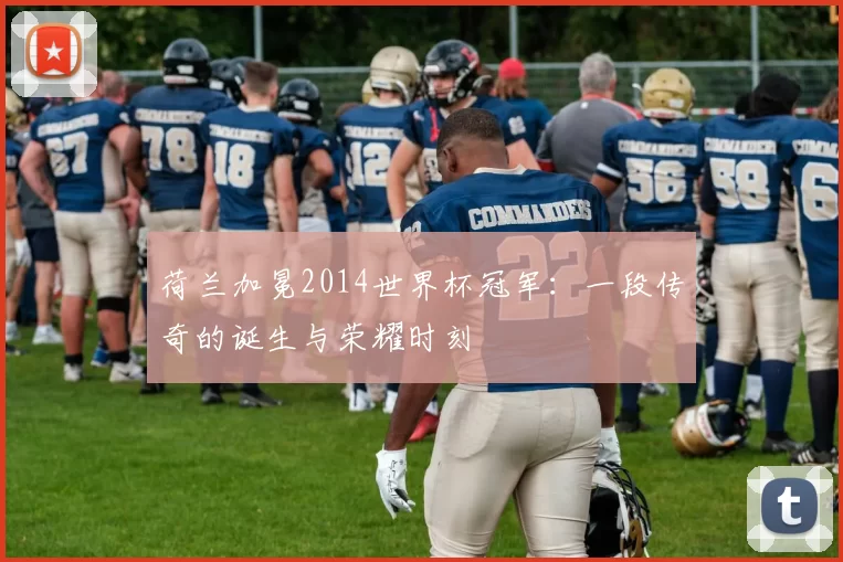 荷兰加冕2014世界杯冠军：一段传奇的诞生与荣耀时刻