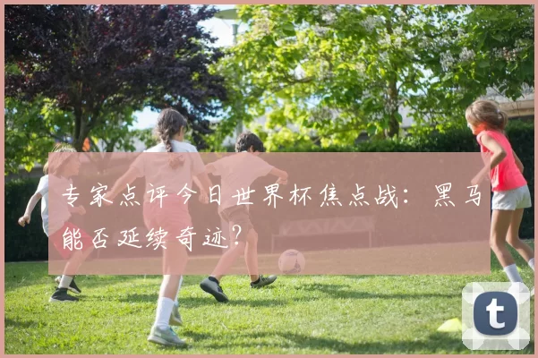 专家点评今日世界杯焦点战：黑马能否延续奇迹？