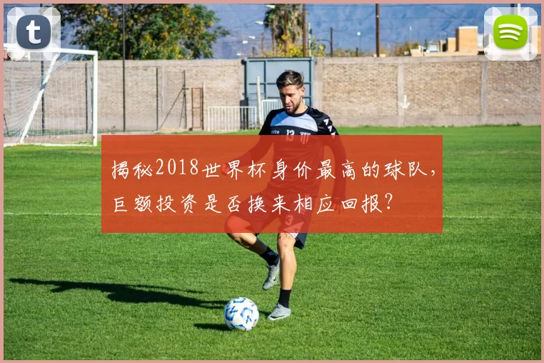 揭秘2018世界杯身价最高的球队，巨额投资是否换来相应回报？