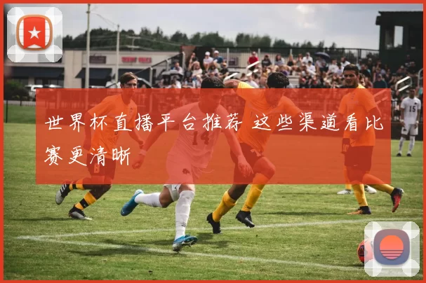 世界杯直播平台推荐 这些渠道看比赛更清晰