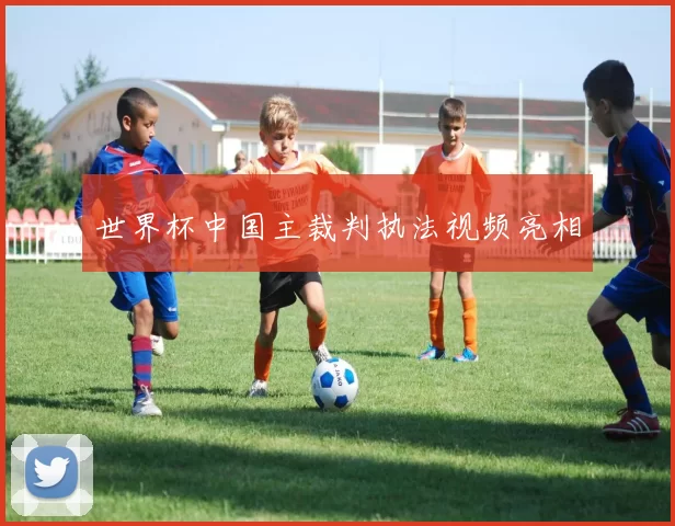 世界杯中国主裁判执法视频亮相