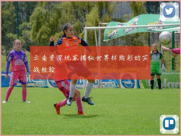 云南资深玩家揭秘世界杯购彩的实战经验