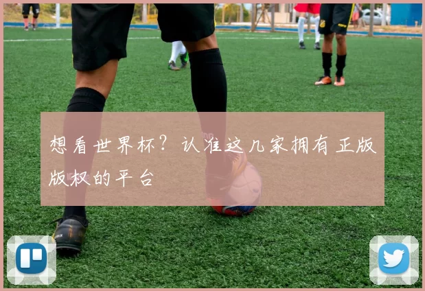 想看世界杯？认准这几家拥有正版版权的平台